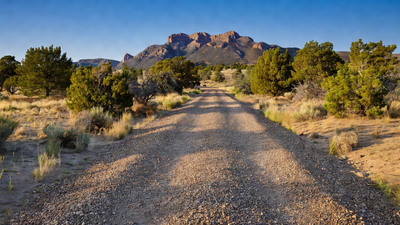 Freshly chip sealed residential driveway in Cortez, Colorado